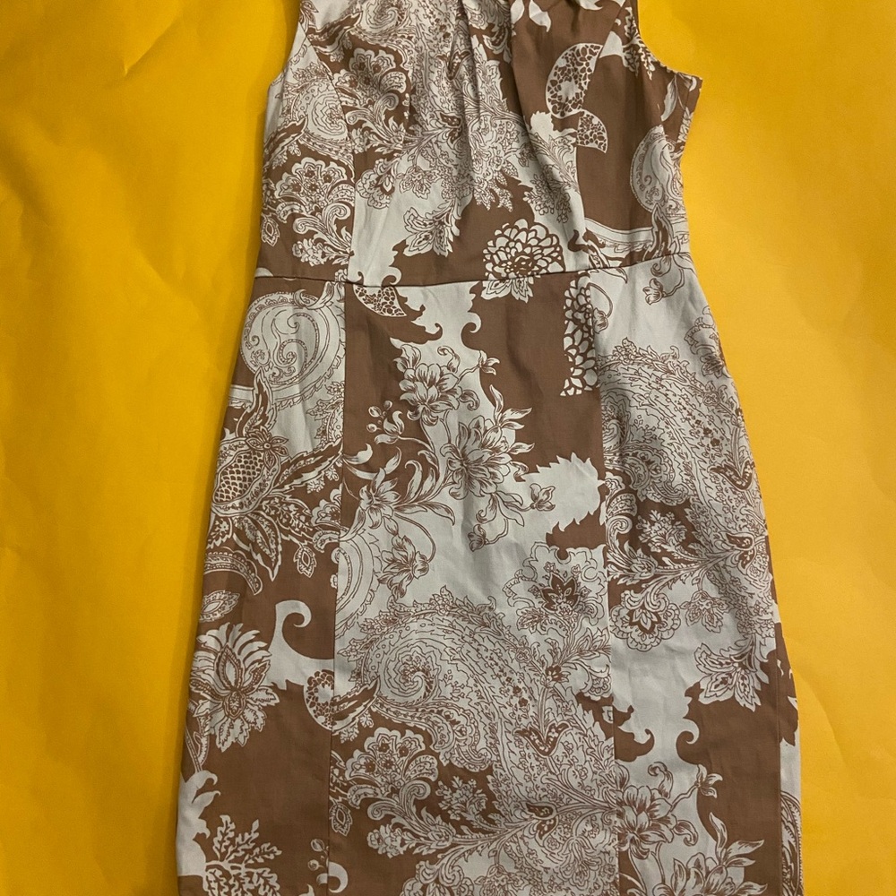 Ladies Dress